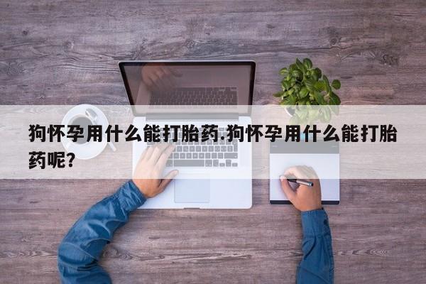 卖打胎药联系方式，狗怀孕用什么能打胎药.狗怀孕用什么能打胎药呢？