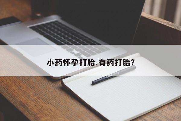 卖打胎药联系方式，小药怀孕打胎.有药打胎？
