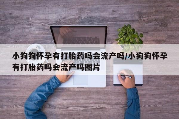卖打胎药联系方式，小狗狗怀孕有打胎药吗会流产吗/小狗狗怀孕有打胎药吗会流产吗图片