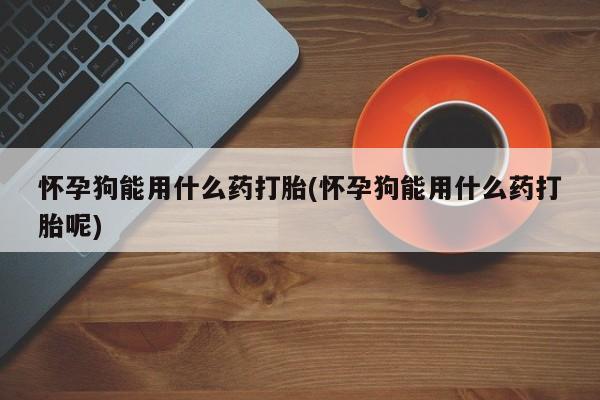 卖打胎药联系方式，怀孕狗能用什么药打胎(怀孕狗能用什么药打胎呢)